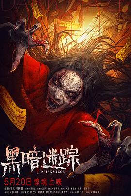 黑暗迷踪